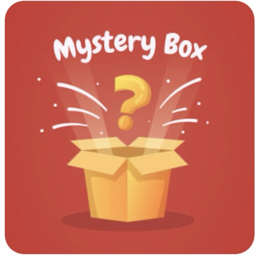 NWT - Mystery Box